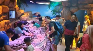 Asyik... Sea Life Malaysia Sudah Bisa Dikunjungi