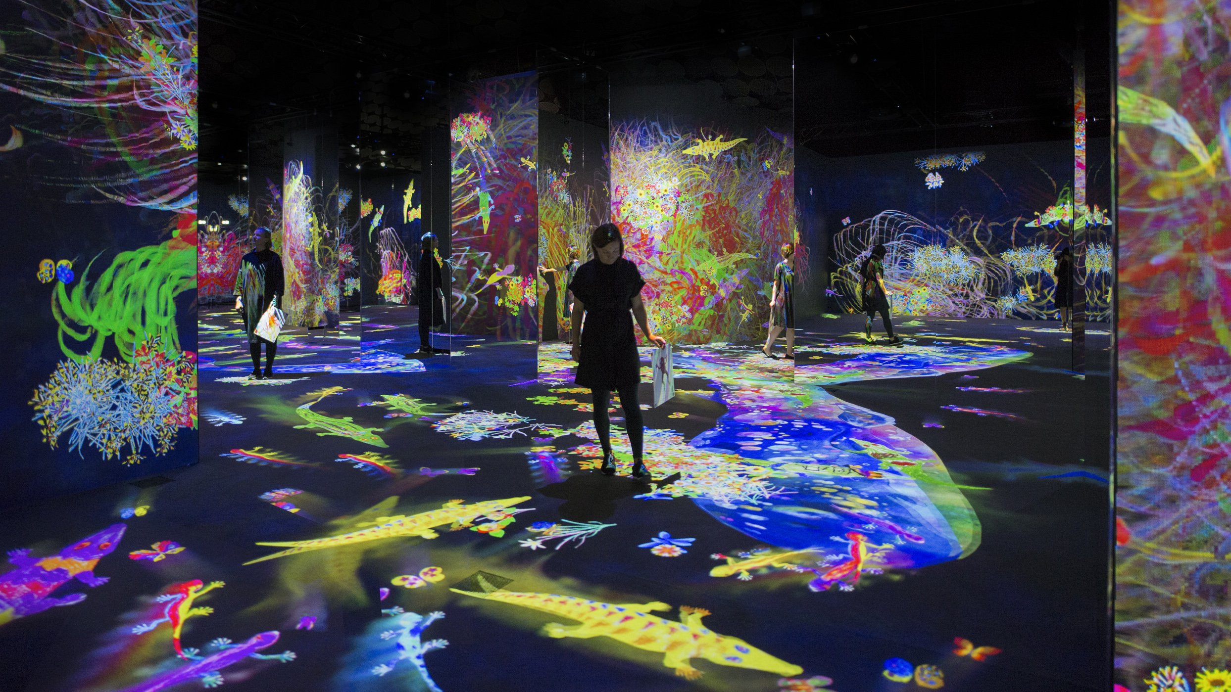 Asyik, Pameran Kreatif dari teamLab akan Hadir di Indonesia