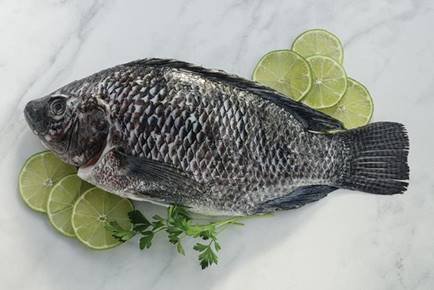 Nikmatnya Berbuka Puasa dengan Menu Ikan Tilapia