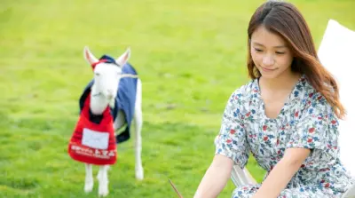 Menikmati Suasana Peternakan di Hoshino Resorts Tomamu