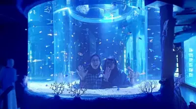 Tiga Hewan Unik dan Aneh Hadir di Jakarta Aquarium