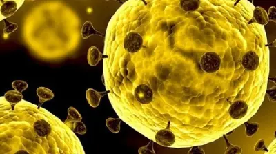 Cegah Virus Korona, Simak Tips Berkunjung atau Transit di China