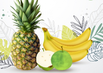 Sunpride Donasi Buah untuk Anak Terdampak Covid-19