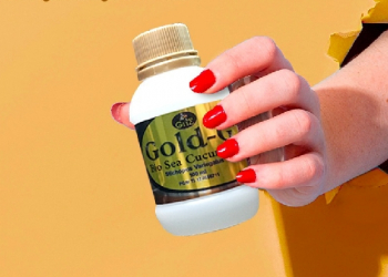 Teripang Emas Dapat Menjaga Daya Tahan Tubuh Selama Pandemi