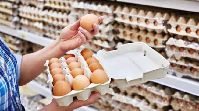 LSM Internasional Temukan Praktik Kandang Telur Baterai Berisiko di Indonesia