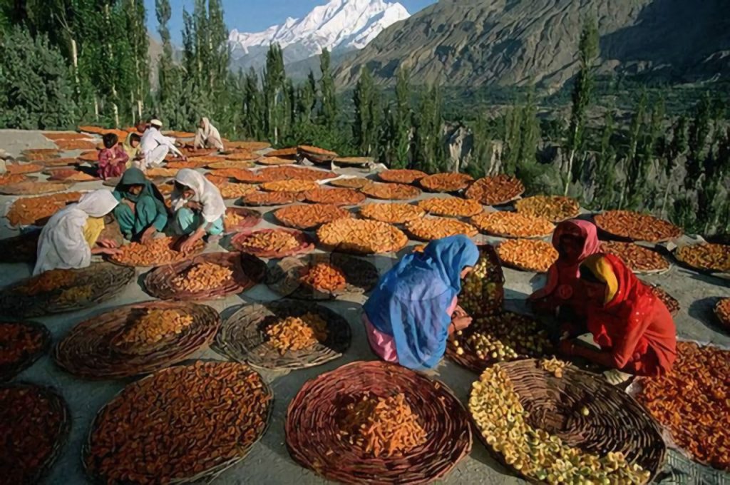 Tak Hanya Cantik, Perempuan Hunza Bisa Melahirkan Anak di Umur 65 Tahun 5 Tak Hanya Cantik, Perempuan Hunza Bisa Melahirkan Anak di Umur 65 Tahun