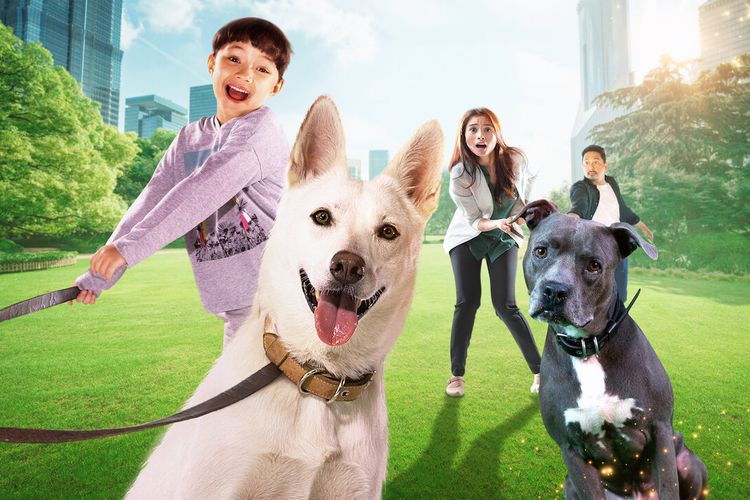 Rekomendasi Film Biar Tidak Bosan Selama PPKM 5 Rekomendasi Film Biar Tidak Bosan Selama PPKM