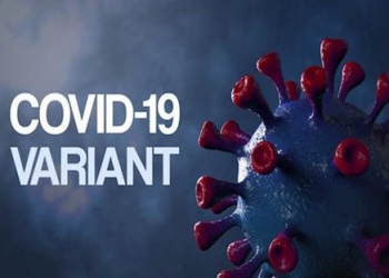 covid-19 varian kraken - Womanindonesia.co.id