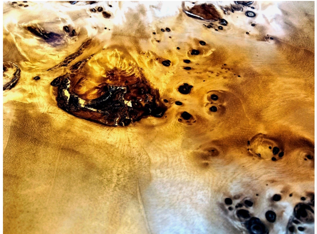 Keren! Inilah Sederet Karya Pemenang 2121 Future Photography Project
