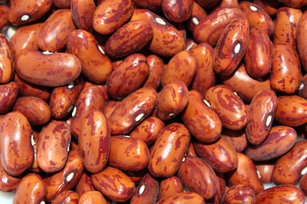 Makanan Sehat untuk Kecerdasan Anak 4 Makanan Sehat untuk Kecerdasan Anak