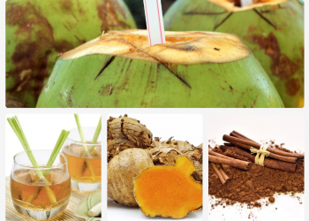 Minuman Herbal yang Dapat Meningkatkan Kekebalan Tubuh