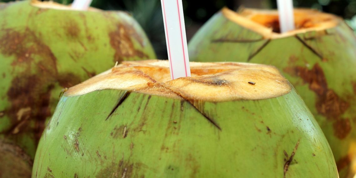 Kelapa muda/pixabay