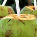 Manfaat Kandungan Air Kelapa Muda, Benarkah Dapat Menghalau Virus Virus? 9 Minuman Herbal yang Dapat Meningkatkan Kekebalan Tubuh