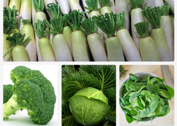 Beberapa Jenis Sayuran Yang Membahayakan Tubuh dan Penyebabnya
