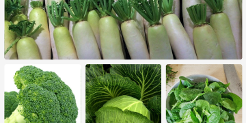 Beberapa Jenis Sayuran Yang Membahayakan Tubuh dan Penyebabnya