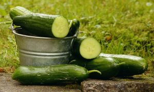 Beberapa Bahan Dapur yang Dapat Mempercantik Kulit 3 Beberapa Bahan Dapur yang Dapat Mempercantik Kulit