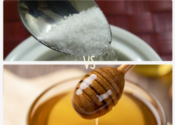 Mengapa Kandungan Madu Lebih Bagus Dibandingkan Gula?