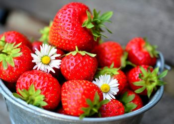 Manfaat Stroberi di Balik Warna Merahnya yang Menggoda