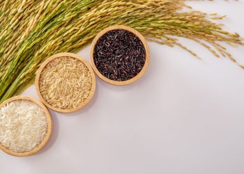 Perum Bulog naikkan HET Beras - Womanindonesia.co.id