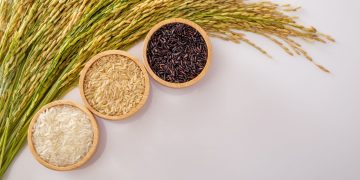 Perum Bulog naikkan HET Beras - Womanindonesia.co.id