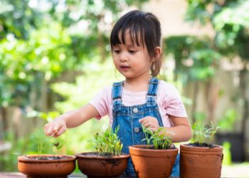 Cara Melatih Anak Agar Belajar Mencintai Lingkungan Sejak Dini