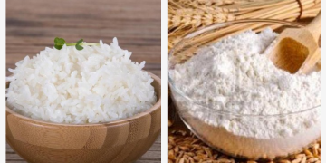 Membedakan Kualitas Gandum dan Nasi Sebagai Sumber Energi