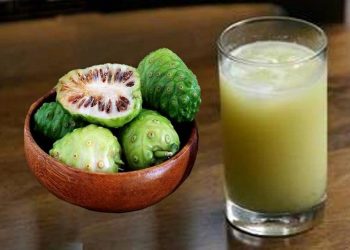 10 Manfaat Jus Mengkudu yang Mulai Dilupakan_Womanindonesia.jpg