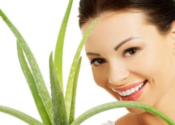 4 Manfaat Lidah Buaya untuk Merawat Kecantikan_Womanindonesia.jpg