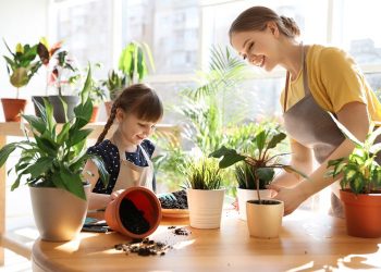 5 Manfaat Tanaman Hias Dalam Ruangan_Womanindonesia.jpg