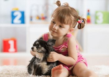 6 Manfaat Mengenalkan Hewan Peliharaan Kepada Anak