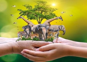 Hari Hak Asasi Binatang: 3 Manfaat Binatang Peliharaan untuk Kesehatan