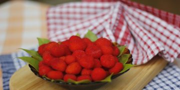 Hari Pangan Sedunia 6 Fakta Tentang Kerben Berry Asli Indonesia_Womanindonesia.jpg