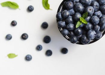 Kandungan Vitamin Buah Blueberry yang Baik untuk Kesehatan