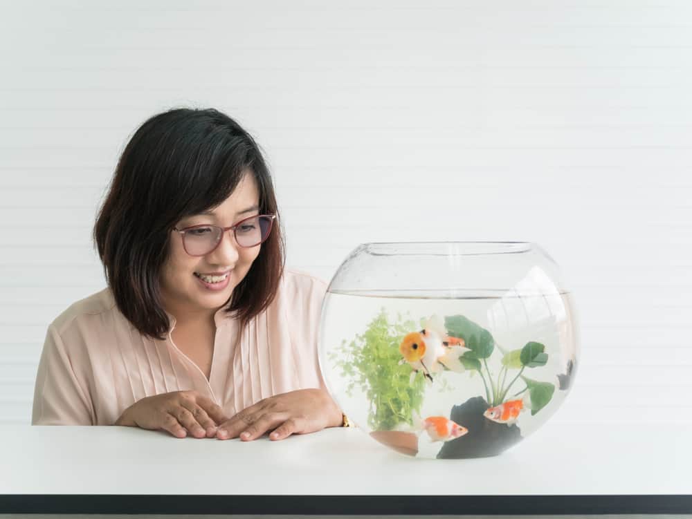 4 Manfaat Aquarium Bagi Kesehatan Jiwa 3 Manfaat Aquarium Bagi Kesehatan Jiwa_Womanindonesia.jpg