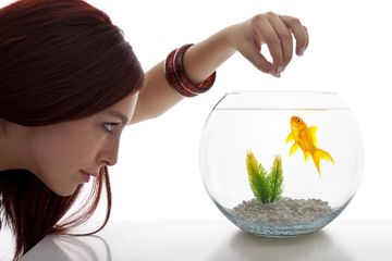 4 Manfaat Aquarium Bagi Kesehatan Jiwa 2 Manfaat Aquarium Bagi Kesehatan Jiwa_Womanindonesia.jpg