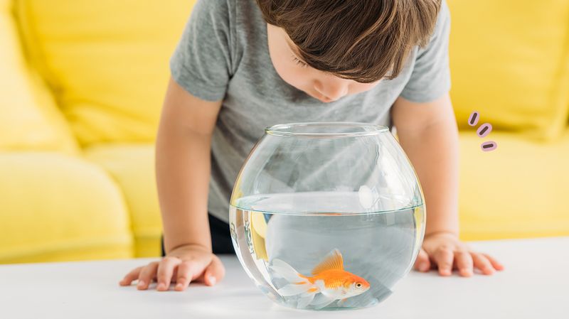 4 Manfaat Aquarium Bagi Kesehatan Jiwa 4 Manfaat Aquarium Bagi Kesehatan Jiwa_Womanindonesia.jpg