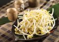 Simak 3 Kandungan Nutrisi Tauge yang Menyuburkan