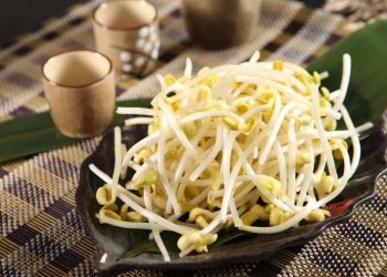 Simak 3 Kandungan Nutrisi Tauge yang Menyuburkan