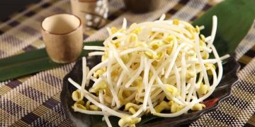 Simak 3 Kandungan Nutrisi Tauge yang Menyuburkan