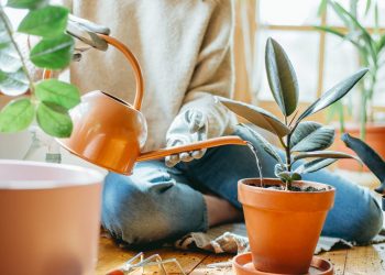 4 Manfaat Merawat Tanaman untuk Kesehatan Mental_Womanindonesia.jpg