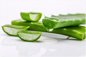 5 Tips Alami Kembalikan Kulit yang Gosong Gegara Sinar Matahari 3 Lidah buaya untuk kulit - Womanindonesia.co.id