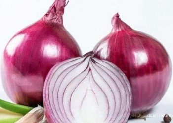 5 Manfaat Bawang Merah untuk Kesehatan Tubuh_Womanindonesia.jpg