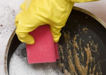 Seberapa Bahaya Bakteri Spons Cuci Piring yang Anda Pakai_womanindonesia.jpg