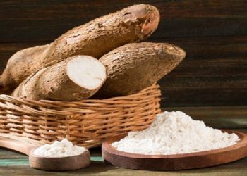 11 Kandungan Nutrsi Singkong dan Manfaatnya_womanindonesia.jpg