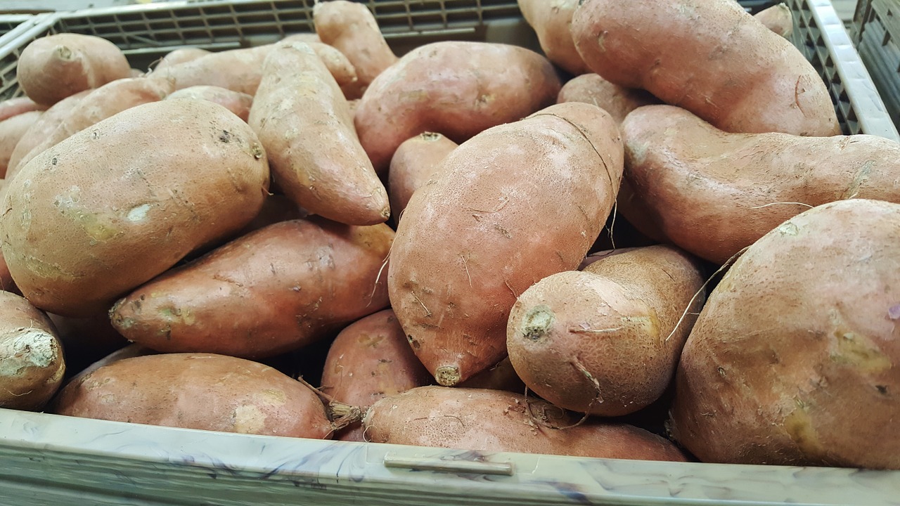 Kedinginan? Ini 5 Makanan dan Minuman yang Bisa Menghangatkan Badan 3 5 Makanan dan Minuman Ini Bisa Atasi Kedinginan_womanindonesia.jpg