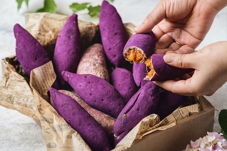 7 Kandungan Nutrisi Ubi Jalar 3 7 Kandungan Nutrisi Ubi Jalar_womanindonesia.jpg