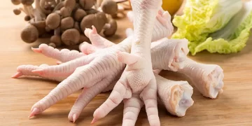 Makan Cakar Ayam Bikin Kulit Awet Muda_womanindonesia.co.id