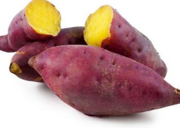 Makan Ubi Jalar Mengakibatkan Sering Kentut, Mitos atau Fakta?