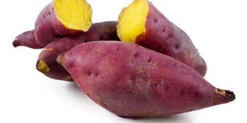 Makan Ubi Jalar Mengakibatkan Sering Kentut, Mitos atau Fakta?