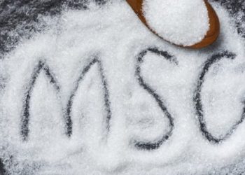 Pecinta Micin Wajib Tahu Ternyata MSG Aman Dikonsumsi